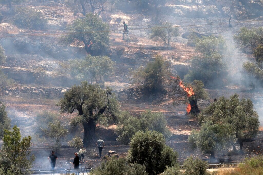 Un campo con árboles incendiados. Personas tratan de apagar el fuego.