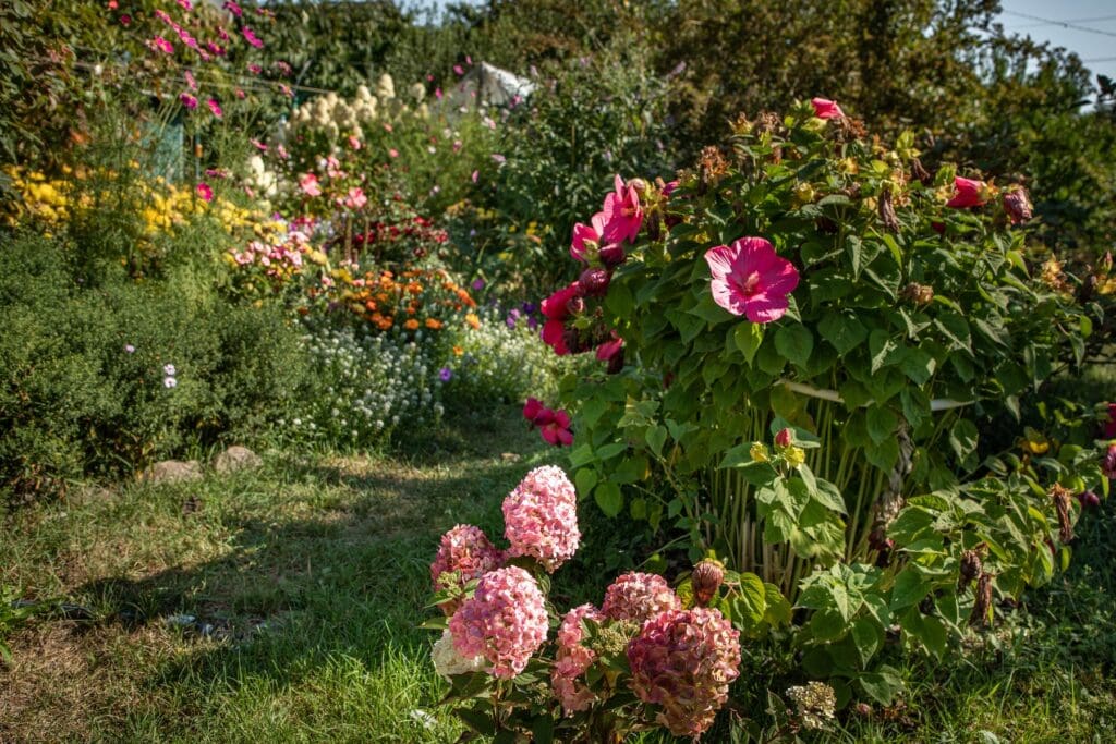 Flores en un huerto.