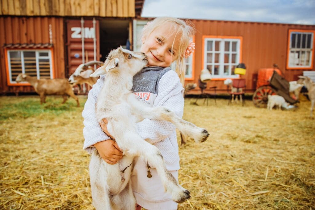 Una niña abraza a un cabrito.