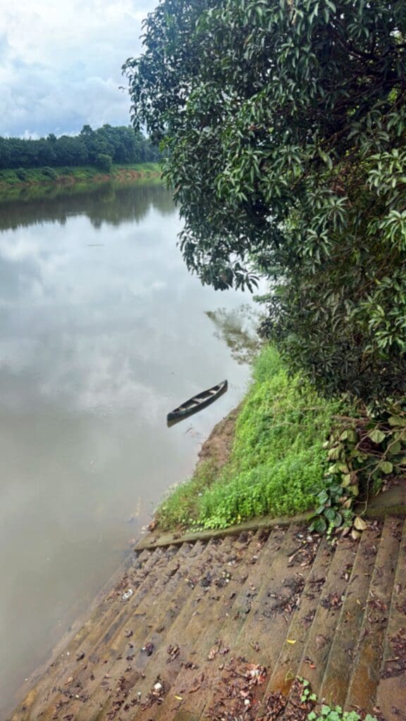 Piccola imbarcazione ormeggiata sulla riva di un fiume circondato da alberi.