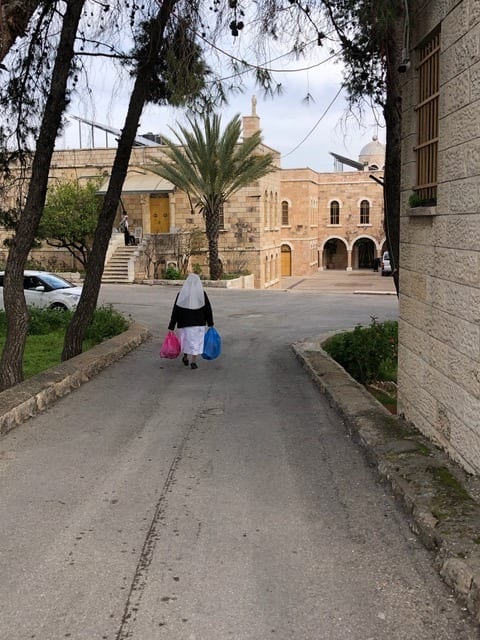 Sister carrying bags