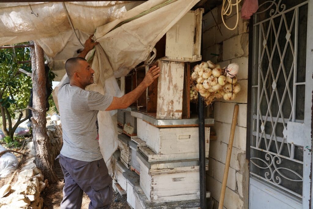 A man working on beehives.