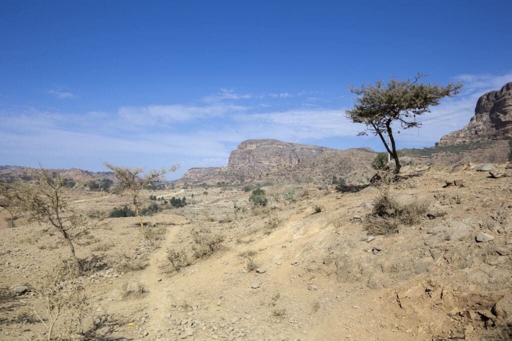 This picture shows deforestation.